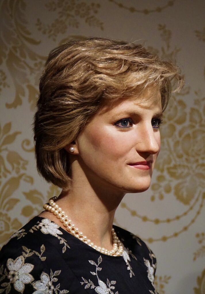 Queen of Hearts Diana Princes of Wales