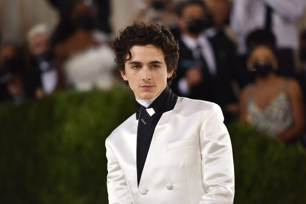 Timothee Chalamet The Rise of a Young Hollywood Star